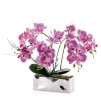 compozitie florala ORCHIANUM