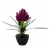 Floare decorativa GINGEROS