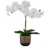 compozitie florala ORCHIDOES