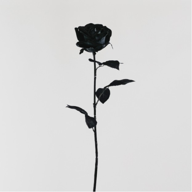 Floare decorativa ROSSART
