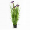 compozitie florala IRISO