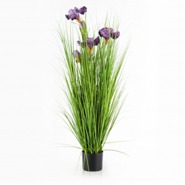 compozitie florala IRISO
