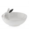 Bol decorativ MODERNBUNNY