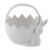 Bol decorativ MODERNBUNNY