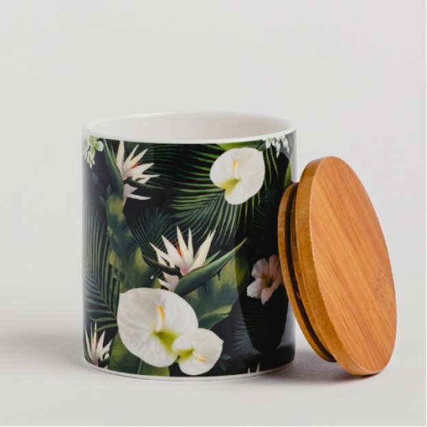 container  TAMICA