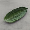 platou decorativ BANANI 2