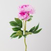 Floare decorativa PIVOIN