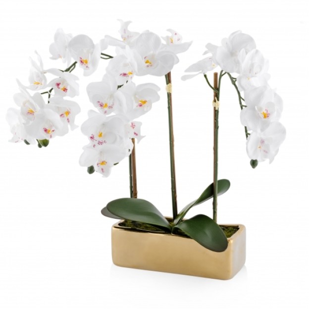 compozitie florala ORCHIANUM