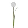 Floare decorativa DANDINO
