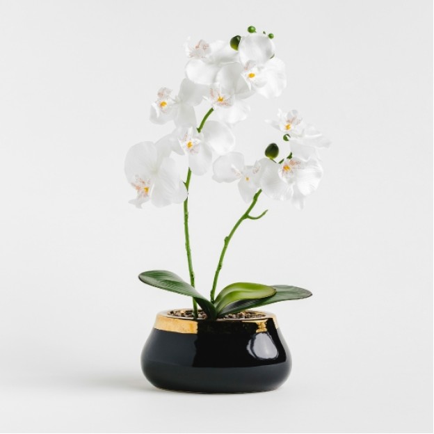 compozitie florala ORCHIKO