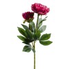 Floare decorativa PIVOIN
