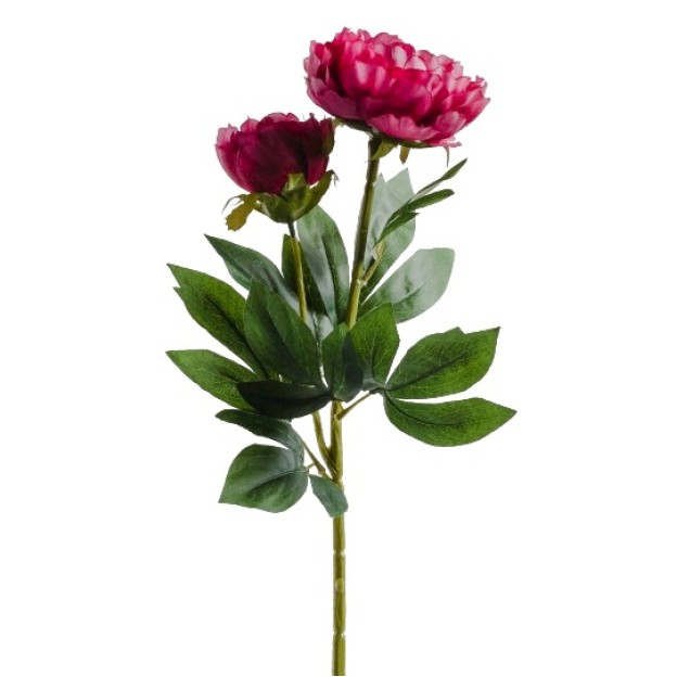 Floare decorativa PIVOIN