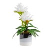 Compozitie florala PICEA