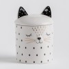 container  MODERN CAT