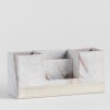 Organizator ZIKI