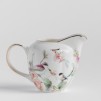 Dispozitiv pentru frisca BOTANY