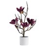 Compozitie florala  MAGNOTREE SMALL