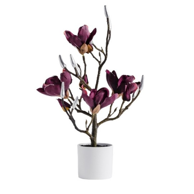 Compozitie florala  MAGNOTREE SMALL