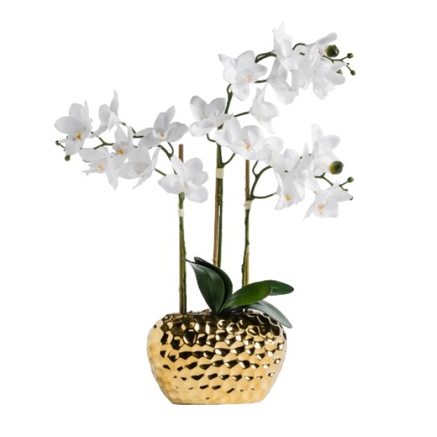 Compozitie florala ORCHISSO