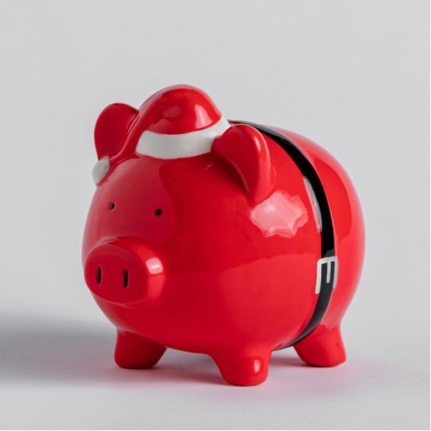 Pusculita SANTAPIG