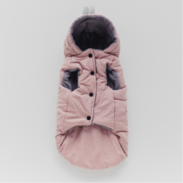 Accesoriu pentru animale DOGOSAUR