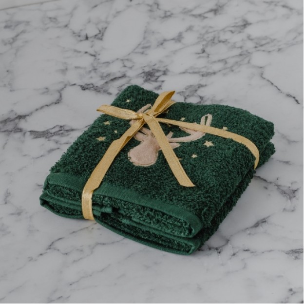 Set stergare ANTLERS