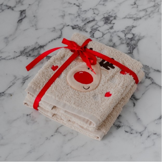 Set stergare REINDRI