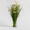 Compozitie florala NARCISOS