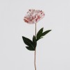 Floare decorativa CASCARES