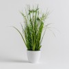 Compozitie florala MEADOWI