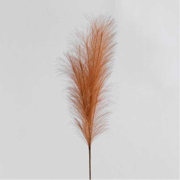 Floare decorativa MISCANTIR