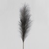 Floare decorativa MISCANTIR