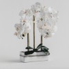 Compozitie florala ORCHIANUM DIAM