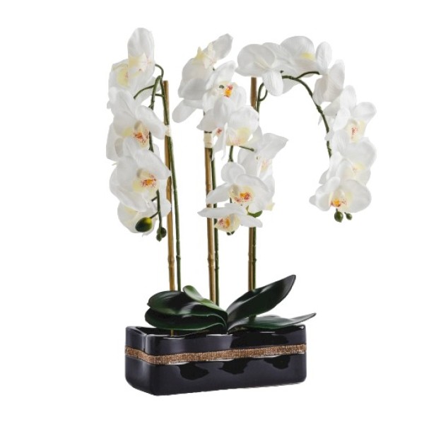 Compozitie florala ORCHIANUM DIAM