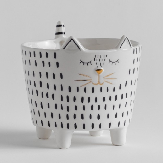 Ghiveci MODERNCATY