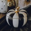 Container MODERNPUMPKIN