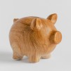 Pusculita NATUREPIG