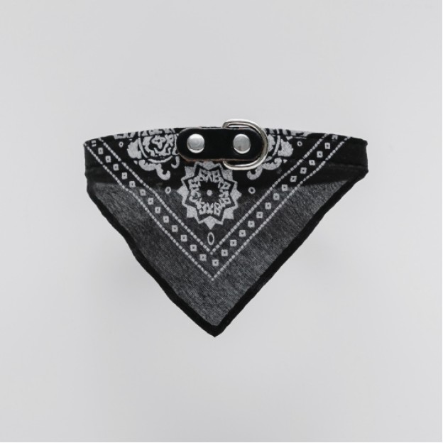 Accesoriu pentru animale Saliera