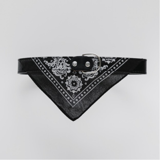 Accesoriu pentru animale Saliera