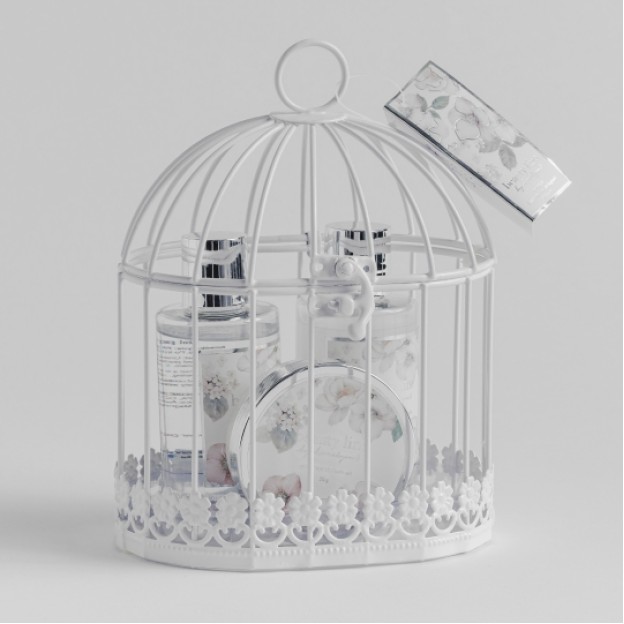 Set cosmetic FLORINO CAGE