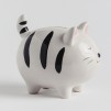 Pusculita BIGCAT