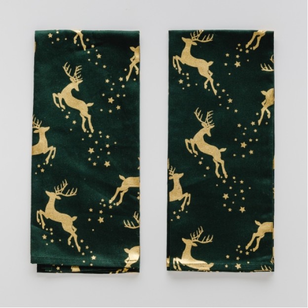 Set prosoape bucatarie RENITIA