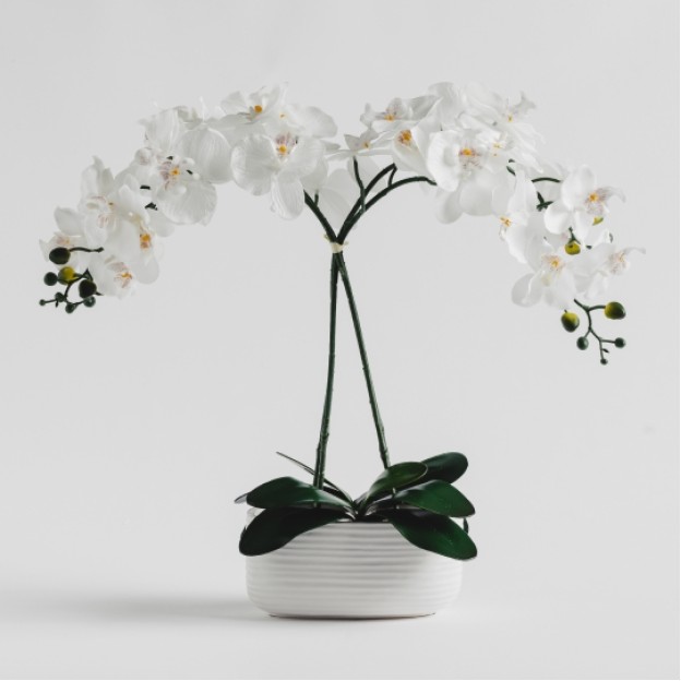 Compozitie florala ORCHIDIS