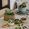 Platou decorativ GRISIOS