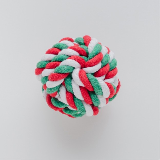 Accesoriu pentru animale PULLO