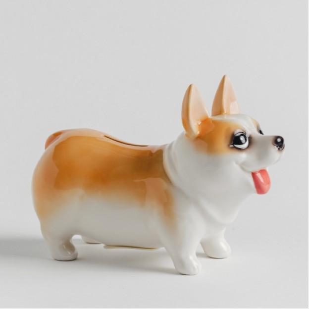 Pusculita CORGI