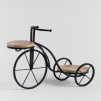 Ghiveci BICYCLE