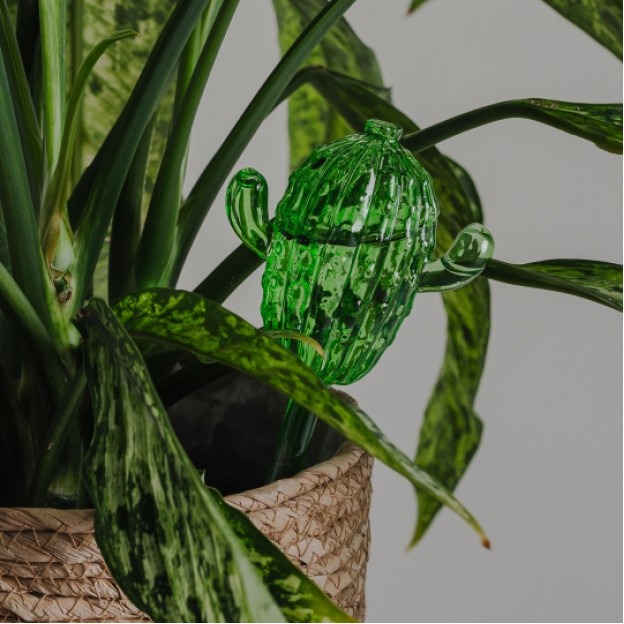 Suport pentru apa KAKTUS