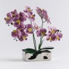 Compozitie florala ORCHIANUM