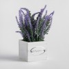 Compozitie florala LAVENDANI